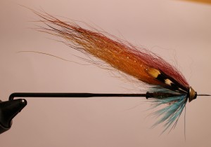DV zonker variant